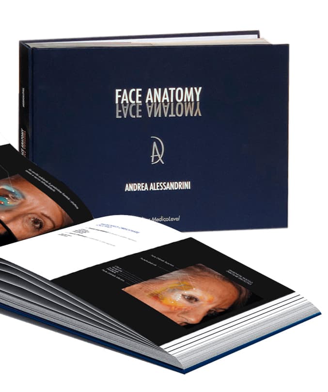 Face Anatomy - English/Italian edition