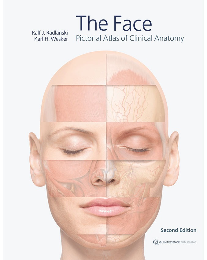 The Face - Image 2