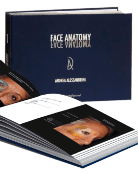 Face Anatomy - English/Russian edition