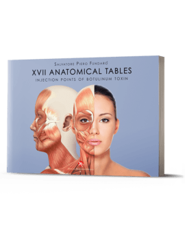 XVII Anatomical Tables - English edition