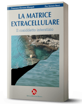 La Matrice Extracellulare