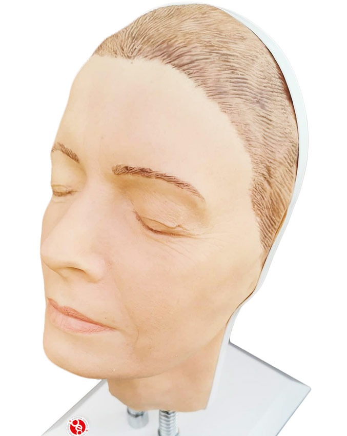 Manichini del Volto per Pratica Iniettiva - Modello Debbie - immagine 4