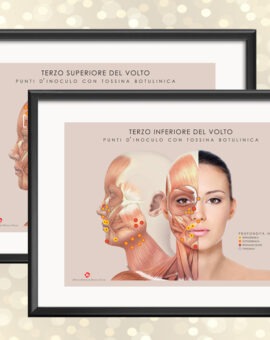 Coppia di Tavole Anatomiche con cornice