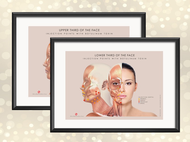 Two Framed Anatomical Tables - BTX