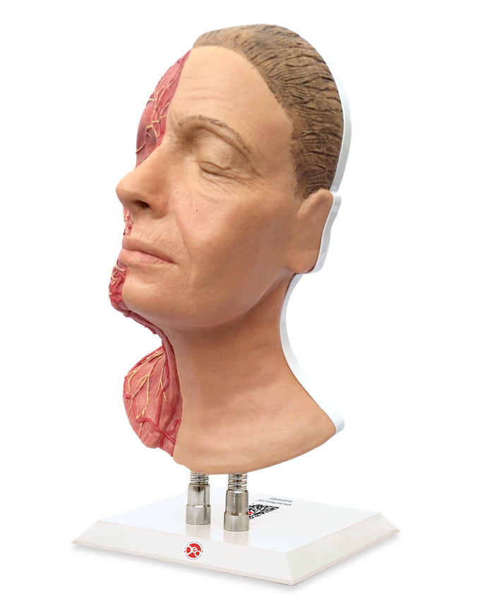 Manichini del Volto per Pratica Iniettiva - Modello Metà - immagine 3