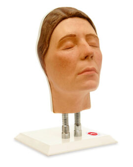 Facial Injection Manikin - Claire Model