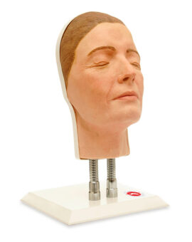Facial Injection Manikin - Debbie Model