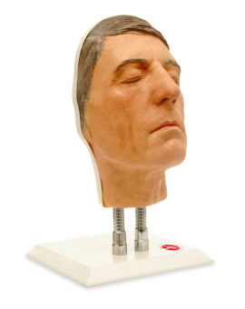 Facial Injection Manikin - Graham Model