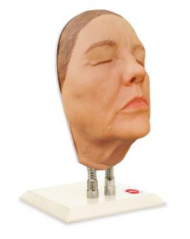Facial Injection Manikin - Lesley Model