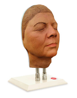 Facial Injection Manikin - Pam Model