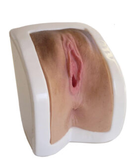 VULVA INJECTION MANIKIN