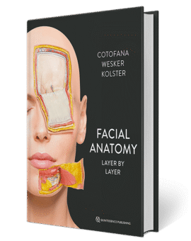 Facial Anatomy